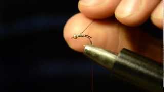 Tying an Zebra Midge Bead Head by Davide Zanetti  PescaMoscait [upl. by Eimyaj]