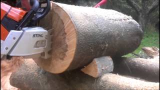 Stihl MS661 CM stock vs ported Husqvarna 390XPG noodling beech [upl. by Aerdied]