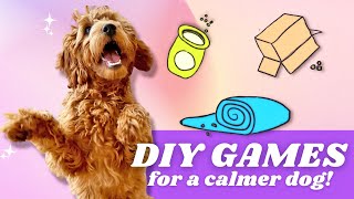 4 EASY Brain Games 👉 Exercises your dog AT HOME [upl. by Newhall]