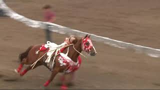 Trick Riding at the Ponoka Stampede 2018 Shelby Pierson [upl. by Warfold]