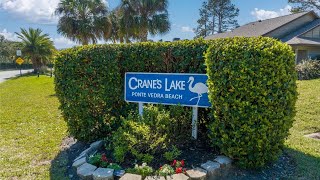 202 Cranes Lake Dr Ponte Vedra Beach FL [upl. by Danette971]