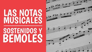 Aprende las Notas Musicales Do Re Mi ¿Qué son los Sostenidos y Bemoles [upl. by Kassaraba]