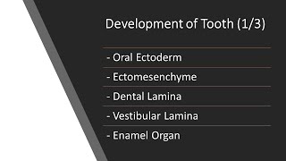 Dental 360  Oral Histology  Development of Tooth 13 [upl. by Yalonda759]