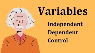 IndependentDependent and Control Variables [upl. by Nylrebma413]