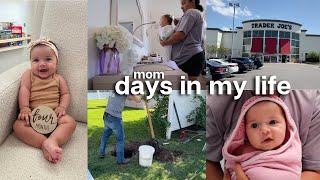 family vlog 💕 🛒 Trader Joes haul baby bath routine baby Target haul family time yard work [upl. by Torey63]