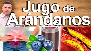 Jugo PODEROSO De Arándanos  Para Qué Sirven Las Bayas Fresas Frutillas Cranberry Blueberry [upl. by Sinnoda]