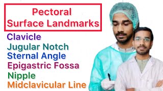 Pectoral Surface Landmark  Clavicle  Jugular Notch  Sternal Angle  Epigastric Fossa  Nipple [upl. by Ligriv]