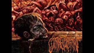 Guttural Engorgement  Cadaveric Maggot Copulation [upl. by Lamok]