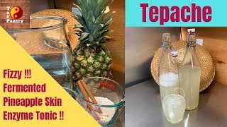 Tepache Fermented Pineapple Enzyme Tonic for gut health at Home [upl. by Arvie914]