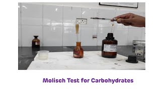 Qualitative tests for carbohydrates Discussion [upl. by Ilyssa]