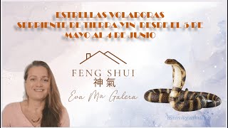 ✨Feng Shui Bazi y Energías mayo mes de la Serpiente de Tierra Yin [upl. by Raines]