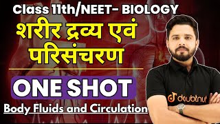 शरीर द्रव्य एवं परिसंचरण Class 11 Biology Chapter 15  Body Fluids and Circulation  NEET 2024 [upl. by Nadabus]