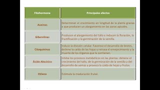 Tema 8 Las funciones de Relación y Reproducción en las Plantas Vídeo 1 La Relación [upl. by Noet]