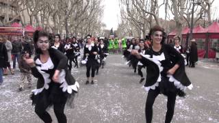 La Bande a Béziers  Carnaval Occitan de Béziers 2013 [upl. by Catharine856]