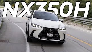 Lexus NX350H 1Year Ownership Review Did The First Impression Last [upl. by Dogs669]