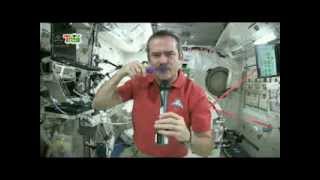 Astronaut Chris Hadfield talks about training  RTE Kids [upl. by Barvick]