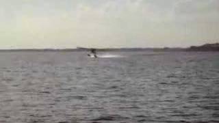 1948 Luscombe 8a floatplane takeoff [upl. by Cathy]