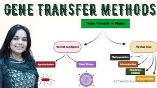 Gene transfer methods viral vector mediated and vectorless methods [upl. by Odrarebe]