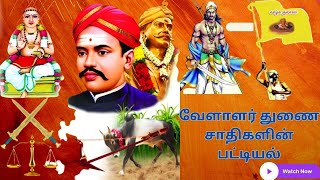 துளுவ வேளாளர் சமுதாயம் வரலாறு The history of Thuluva velalar துளுவவேளாளர்வரலாறு [upl. by Olav]