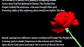 The Perfect Rose 3 [upl. by Nnaarual]