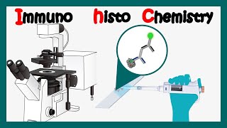 Immunohistochemistry  How to perform immunohistochemistry  application of immunohistochemistry [upl. by Nica]