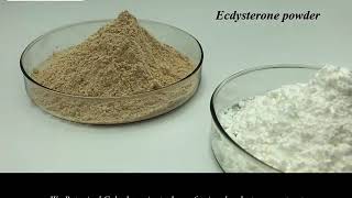 ecdysterone extract [upl. by Skelly]