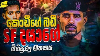 කොඩීගේ බඩී SF දයාගේ බිහිසුණු මතකය  WANESA TV [upl. by Sobmalarah971]