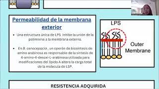 Resistencia de burkholderia cepacian complex [upl. by Sager]