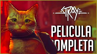 STRAY Pelicula Completa en Español  Full Game Movie [upl. by Gredel712]