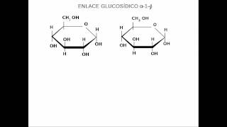 glucidos estructura [upl. by Lita]