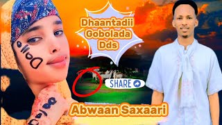 DHAANTO GOBOLADA DDS COMENSON BY ABWAAN SAXAARI NEW VIDEO OFFCIAL 2024 [upl. by Downes]