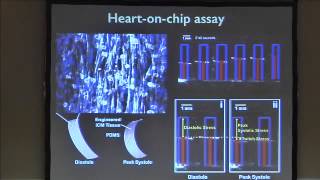 Modeling the Mitochondrial Myopathy of Barth Syndrome using iPSC and Heartonchip Technologies [upl. by Mahoney627]