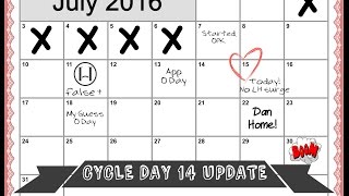 CYCLE DAY 14 UPDATE  TTC VLOG [upl. by Arch]