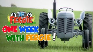 A Week with Fergie  Monday to Sunday  Film  Little Grey Fergie  Gråtass [upl. by Tansy]