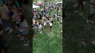 Amapiano The Sound of a Generation Live at Afrofest Omaha [upl. by Derrick]