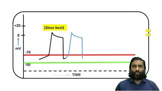 Adverse effects of Digoxin [upl. by Burgess]