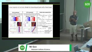 Prof Nir Gov  Guided by curvature A theoretical model of cellular shape dynamics and [upl. by Yrailih487]