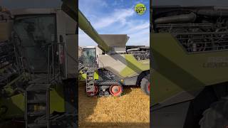 Fix Abbunkern👍• Getreideernte • Weizenernte • Harvest • Harvesting • 2023 • Claas Lexion [upl. by Poler10]