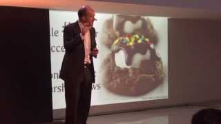 The Discipline of Finishing Conor Neill at TEDxUniversidaddeNavarra [upl. by Llehcim]