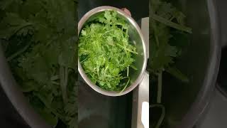 Dhaba Style Palak Paneer Recipe short video [upl. by Ahsemrak93]