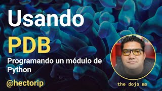 Usando PDB de Python Python Debugger [upl. by Sil]