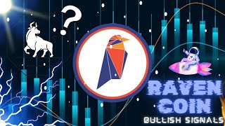 Ravencoin Why I BELIEVE in this project [upl. by Etsirhc387]