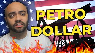 The USA Petrodollar Collapse  Do This Now [upl. by Anotyal641]