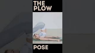 quotYoga for Flexibility Perfecting the Plow Pose Halasana [upl. by Riella]