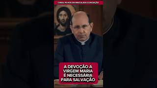 A DEVOÇÃO A VIRGEM MARIA É NECESSÁRIA PARA SALVAÇÃO  PADRE PAULO RICARDO jesus catolico maria [upl. by Clara299]