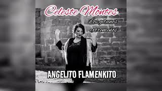 Celeste Montes FT Angelito Flamenkito Los gitanos extremeños [upl. by Lekim]