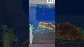 Lowrance Hook Reveal 7 [upl. by Eittol]