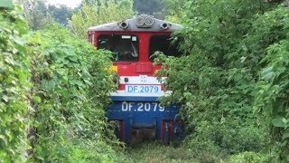 Pyin Oo Lwin Station Arrival Shunting amp Departure  Myanmar Railways Burma [upl. by Thurmond519]