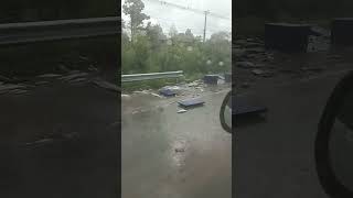 Вся рыба разбросана по трассе и машина лежит на боку Fish accident car fish occurrence road [upl. by Eimmat]