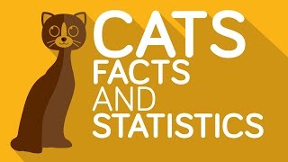 CIA Spent 20 Million Training Cats To Be Spies  Unbelievable But True Cat Facts [upl. by Rebecca]